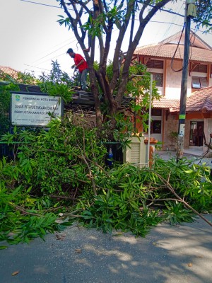 Pemangkasan Phon Di Gedung Layanan Perpustakaan Kota Bekasi ... 